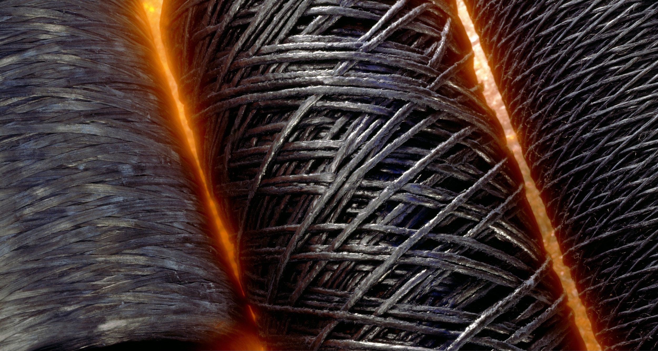 zoom su fibra di carbonio